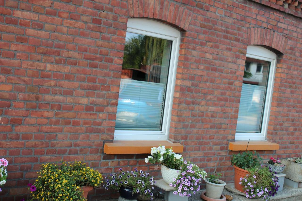 Apartment Hanske Isenbüttel Esterno foto